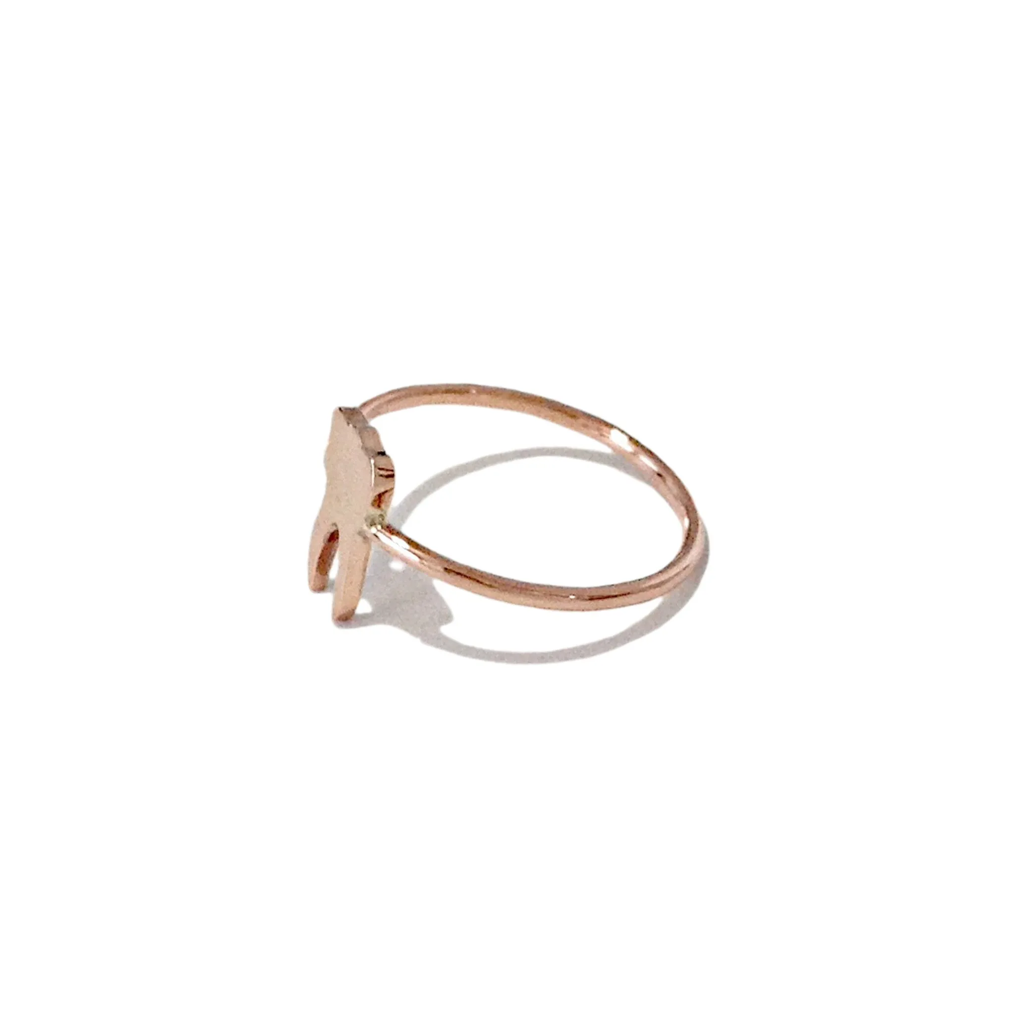 14K Gold Tooth Ring