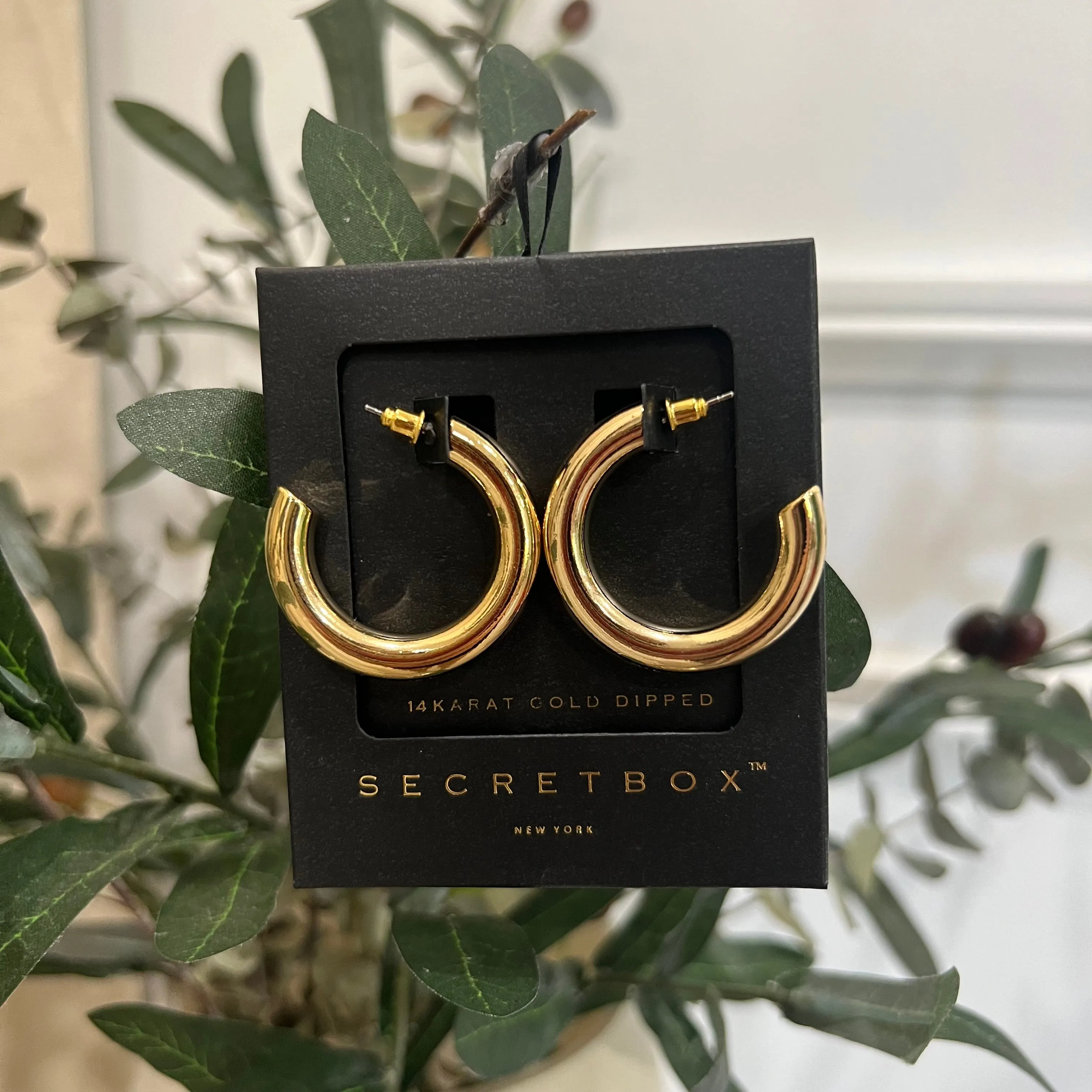 #29 Earrings