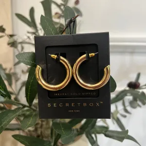 #29 Earrings