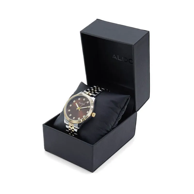 ALDO Trawien Men Watches - Brown