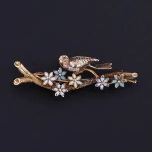 Antique Enamel Bird Brooch of 18k Gold