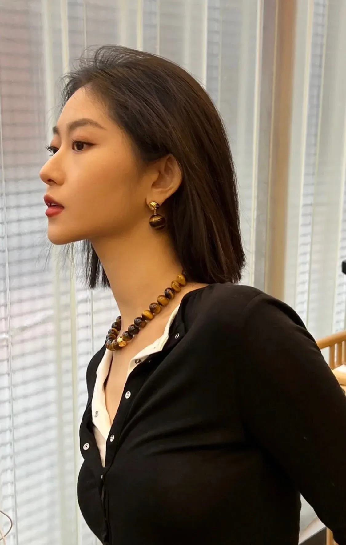 Black Agate and Tiger's Eye Drop Earrings