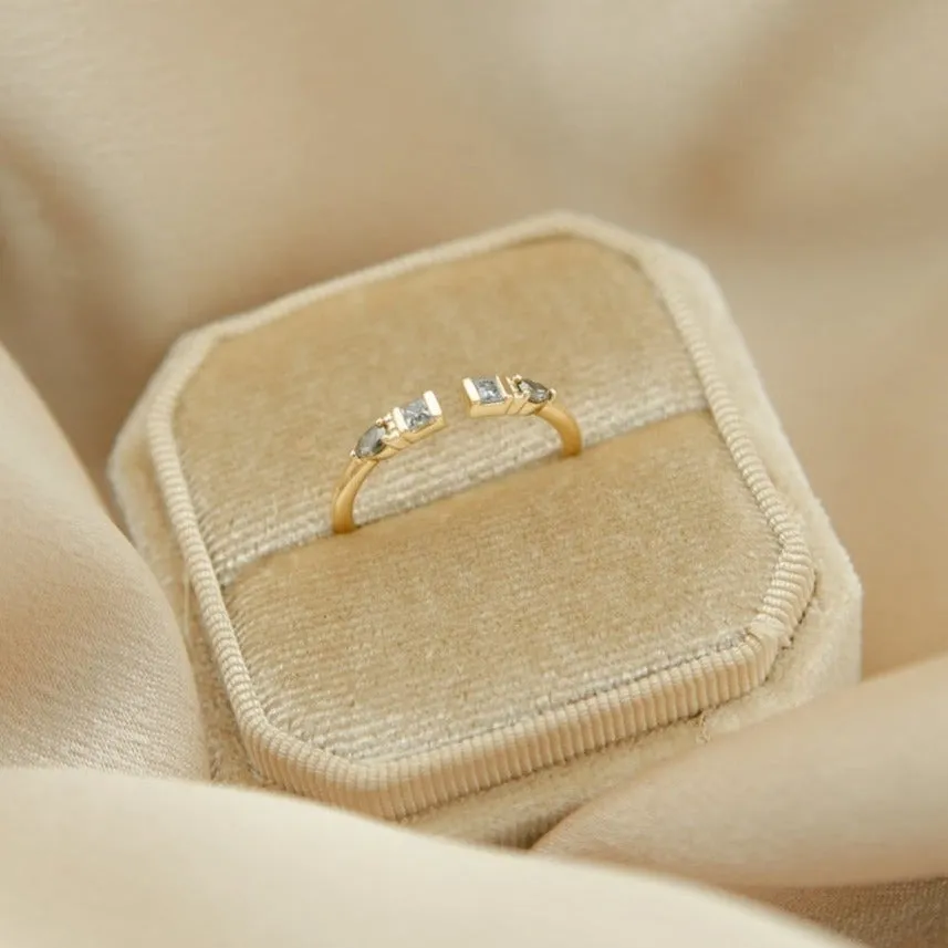 Cory | 14K Gold, Salt and Pepper Diamond Ring