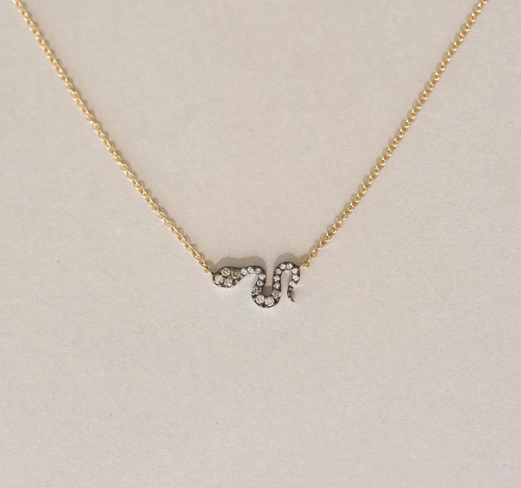 Dainty Snake Necklace