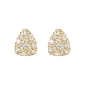 Dazzling Drop Earrings