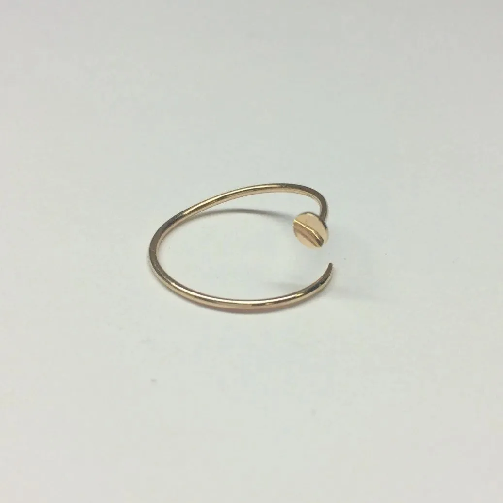 Nailed It Ring/Earring